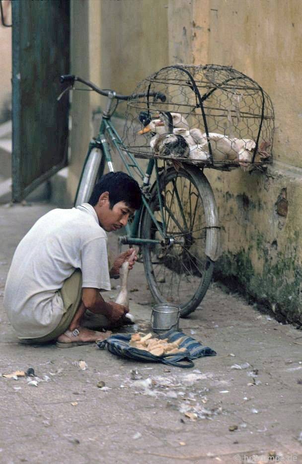 Người bán vịt dạo, 1991.